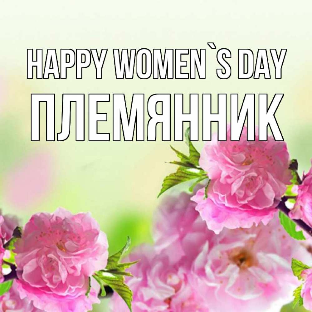 Greetings card с именем, Племянник happy women`s day цветы Greetings with text for free download 